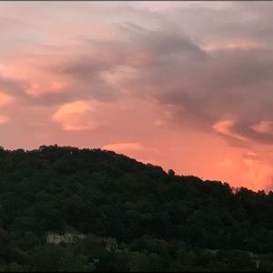 Meet your Posher, Maggie